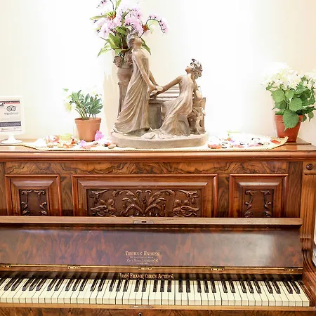 בית הארחה Nerva